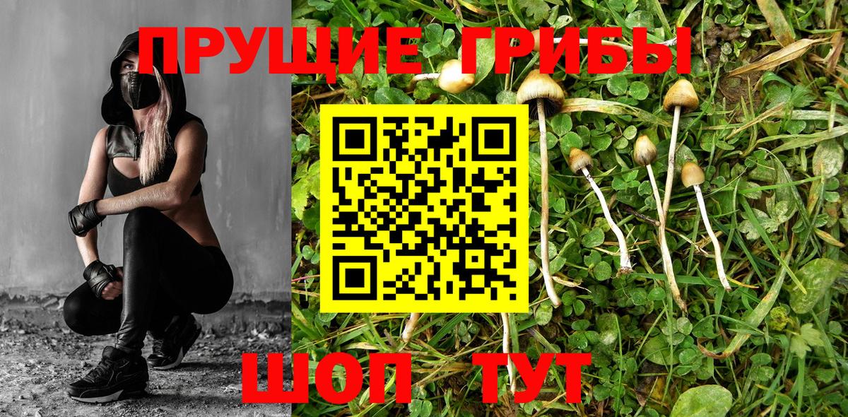 Ростов Великий  Галлюциногенные грибы ЛСД  Вход с VPN 