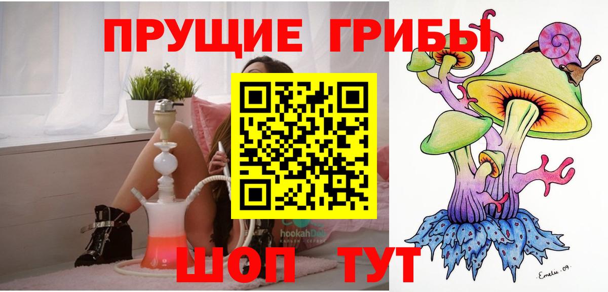 Псилоцибиновые грибы Psilocybe Ростов Великий